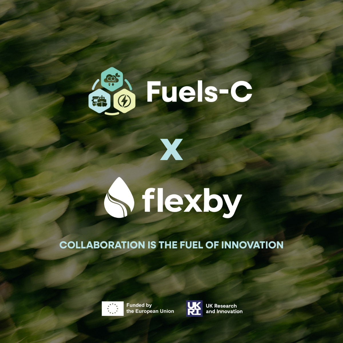 Fuels-C flexby